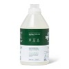 Free & Clear Liquid Laundry Detergent - 100 fl oz - Everspring™ - image 4 of 4