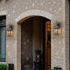C Cattleya 2-Pack 14in Oil-Rubbed Bronze Outdoor Wall Lantern with Seeded Glass Shade - 4 of 4