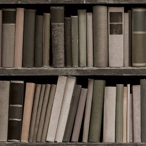 Tempaper & Co. Bookshelf Peel and Stick Wallpaper - 1 of 4