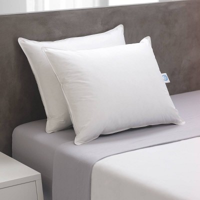 Standard 2pk Natural Prime Fiber Bed Pillow - Weatherproof