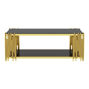 Stainless Steel Rectangle Coffee Table for Living Room 51.18" Modern Center Table with 8mm Gold Leg - 1 of 4