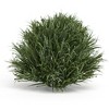 Spring Grass Half Orb Set of 6, Plastic Greenery Decor, 8" Faux Floral Accents by Melrose - 2 of 2