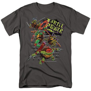 Men's Teenage Mutant Ninja Turtles: Mutant Mayhem Turtle Power Brothers T-Shirt - 1 of 4
