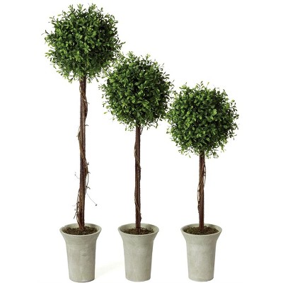 Sullivans Artificial Set of 3 Boxwood Topiary Tree 22"H, 25"H & 30"H Green