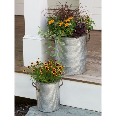 Galvanized Rim Planter 8in - Gardener's Supply Company