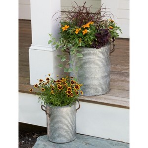 Galvanized Rim Planter 8in - Gardener's Supply Company - 1 of 1