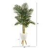 Nearly Natural 70-in Golden Cane Artificial Palm Tree in White Planter with Stand - 2 of 3