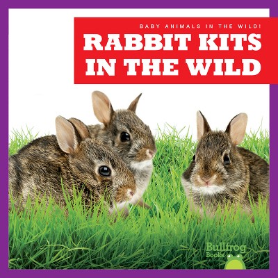Rabbit Kits in the Wild - (Baby Animals in the Wild!) by Katie Chanez  (Paperback)