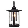 Chloe Lighting Cole Transitional 1 Light Textured Black Outdoor Wall Sconce 16" Height - 2 of 4