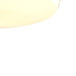 light wood