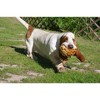 Fluff & Tuff Tiger Ball - Medium (5.5-Inch) - 2 of 3