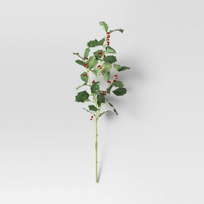 Holly Stem Plant Arrangement - Threshold™