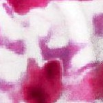 hibiscus waves autumn pink