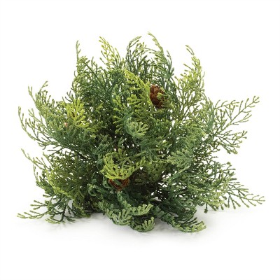 Cedar Pinecone Half Ord (Set of 2)