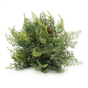 Cedar Pinecone Half Ord (Set of 2) - 1 of 1