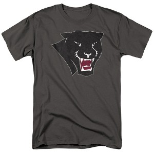 Men's Florida Institute of Technology Official Distressed Primary Logo T-Shirt - 1 of 4