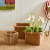 Plum & Post Seagrass Square Baskets With Cuffs, Set Of 3 - 2 of 4