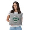 NCAA Binghamton Bearcats 16" Heather Gray Sweatshirt Pillow - 2 of 4