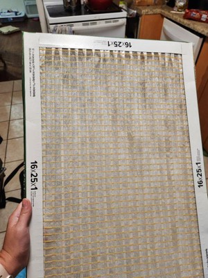 Guest review image 1 of 1, zoom in