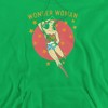 Dc Wonder Circle Adult Pull-Over Hoodie - 2 of 4