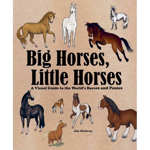 Big Horses Little Horses Big And Little By Jim Medway Paperback Target