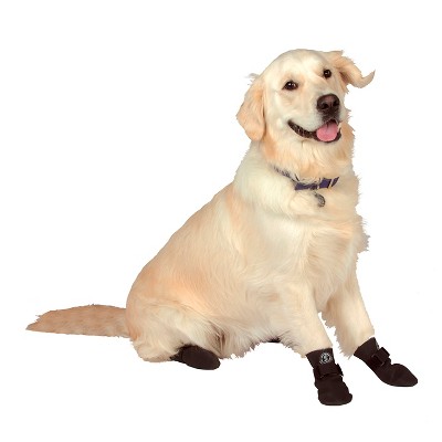 canidae life stages large breed puppy