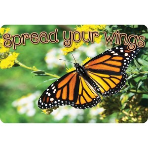 Ashley Productions® The Original Fun Mat™, Welcome Mat, 15.5" x 23.5", Spread Your Wings Butterfly Welcome - 1 of 1