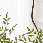 white+pu leather+set of 4