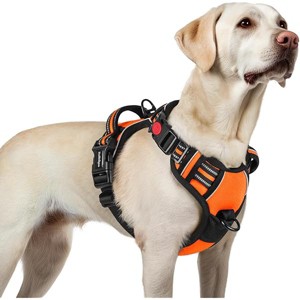 rabbitgoo Dog Harness for Large, No Pull Pet Harness with 3 Buckles, , Walking Reflective Pet Vest for Large Dogs, Orange, L - 1 of 1