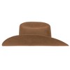 Underwraps Cattleman Thick Felt Cowboy Hat Adult Costume Accessory | Tan - 3 of 4