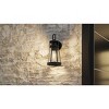 Barber 1-Light Outdoor Wall Lantern - 3 of 4