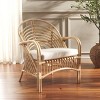 Aragorn Accent Chair W/ Cushion - ACH6529 - Safavieh - 2 of 4