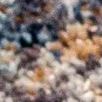 cream, beige, medium gray, light blue, navy, dark red