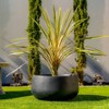 Rosemead Home & Garden, Inc. Weathered Concrete Outdoor Planter Pot Black - 2 of 4