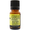 Plantlife Galbanum Aromatherapy Essential Oil – 100% Pure, Therapeutic Grade, No Additives or Fillers, 10 ml - 2 of 3