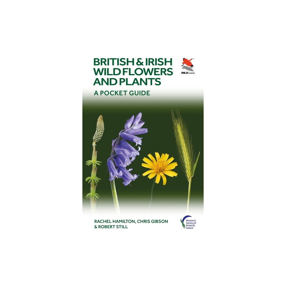 British and Irish Wild Flowers and Plants - by Rachel Hamilton & Chris Gibson & Robert Still (Paperback)