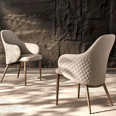 Upholstered Dining Arm Chairs Set of 2, Beige