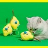 zeze Fruit Cat Chew Toy with Matatabi stick - 4 of 4