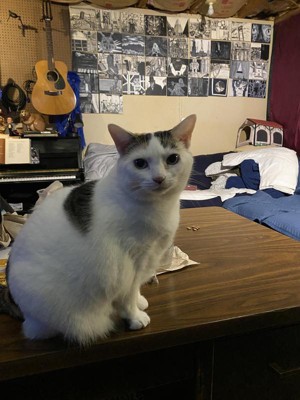 Guest review image 3 of 4, zoom in