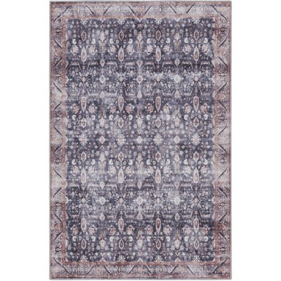 Nourison Washable Brilliance Bordered Vintage Indoor Rug