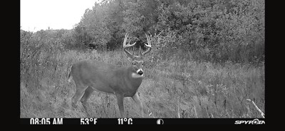 Guest review image 2 of 2, zoom in