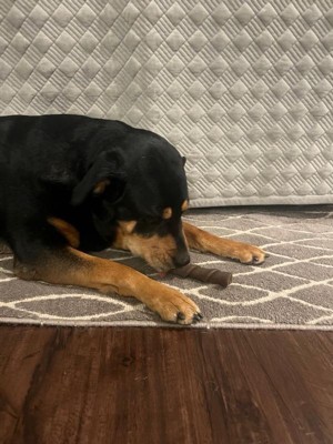 Guest review image 1 of 1, zoom in