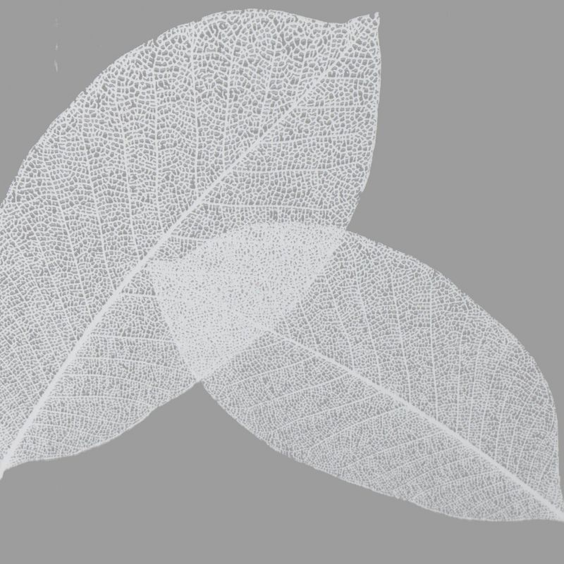 Harvest Leaf Shower Curtain White/Clear - Moda at Home, 3 of 6