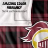 Calvin University Campus Plaid Spirit Silky Touch Super Soft Throw Blanket 50x60 - 4 of 4