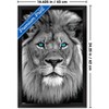 Trends International Reinders: Animals - Blue Eyed Lion Framed Wall Poster Prints - 3 of 4