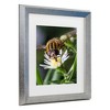 Trademark Fine Art - Steven Ellingson Pray On Flowers Matted Framed Art - 3 of 4