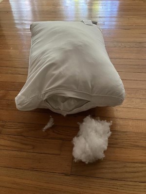 Guest review image 2 of 2, zoom in