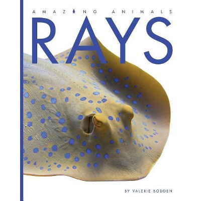 Rays - (Amazing Animals) by  Valerie Bodden (Paperback)