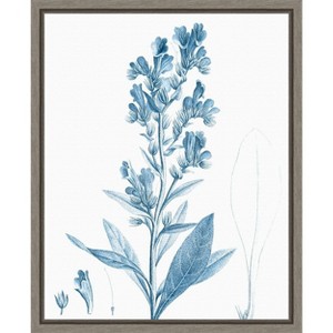 Amanti Art Antique Botanical in Blue III by Vision Studio Canvas Wall Art Print Framed 16 x 20-in. - 1 of 4
