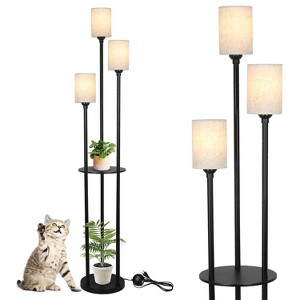 KTMBDW Floor Lamp with Shelves, Modern Standing Lamp with 3 Color Temperature Bulb for Living Room and Bedroom - 1 of 4
